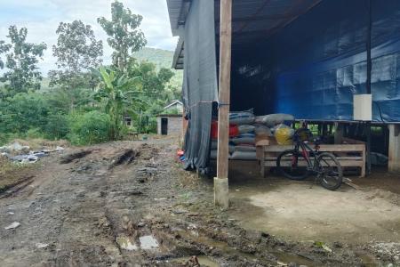 Kandang Ayam Dekat Pemukiman d